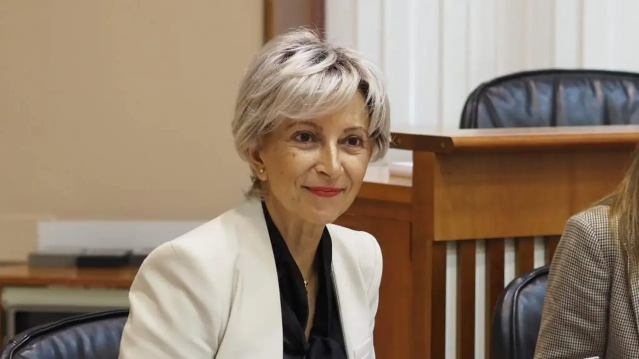 A deputada do PSdeG no Parlamento galego Silvia Longueira. (Foto: N&oacute;s Diario)