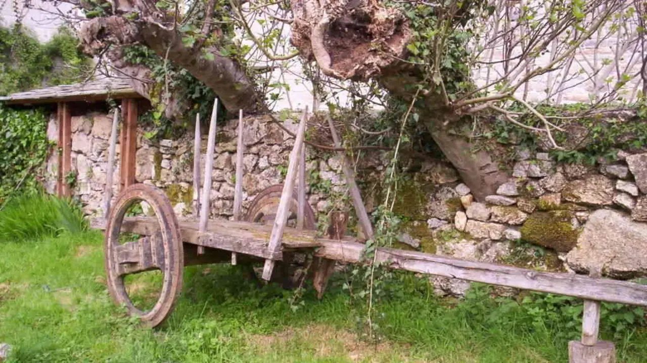 Carro galego en Santa Comba, Lugo. (Foto: Xelo)