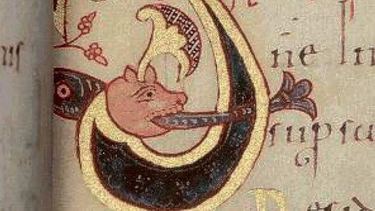 As letras capitais fig&uacute;ranse con imaxinar&iacute;a animal e vexetal, son un prodixio de invenci&oacute;n, que a cada pase de p&aacute;xina fornece unha sorpresa.