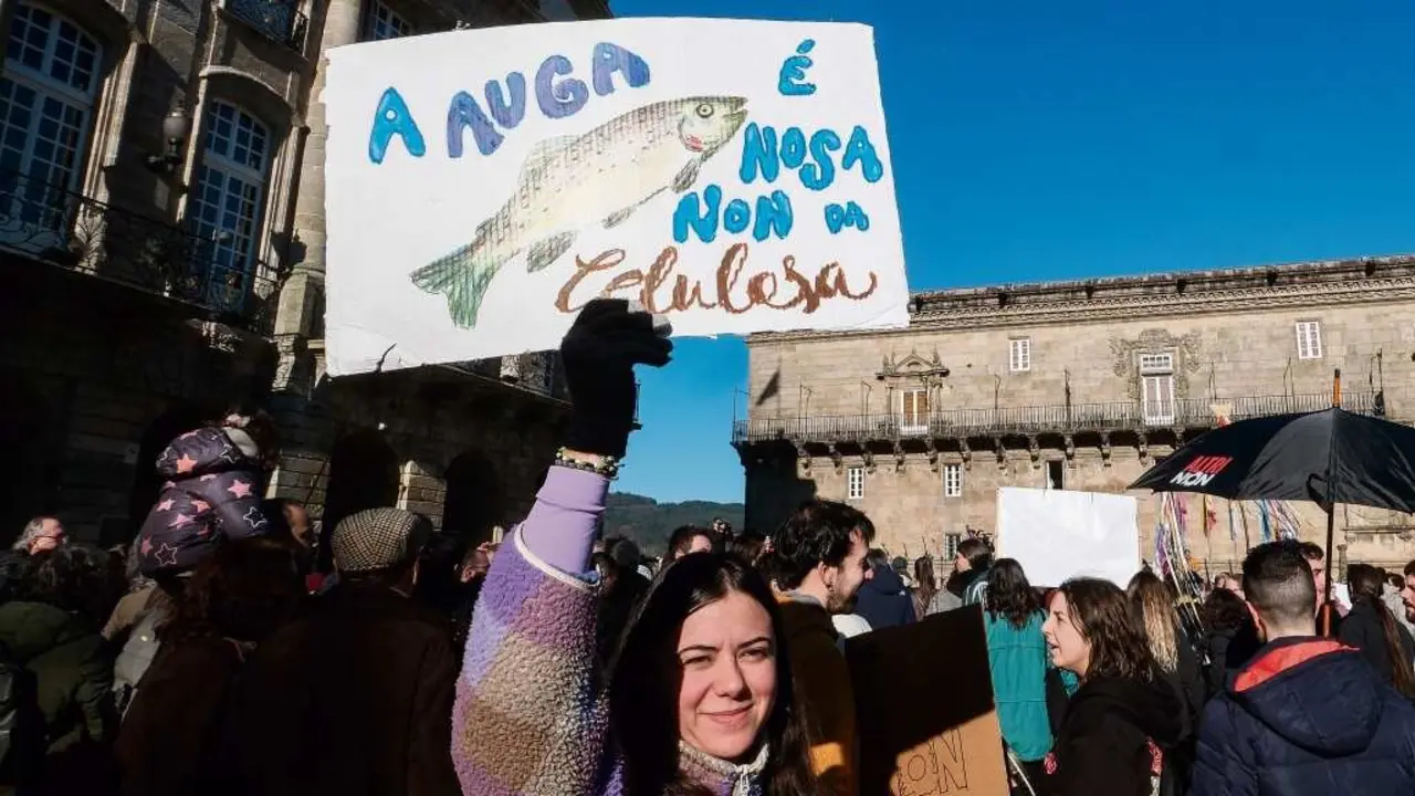 Manifestaci&oacute;n contra Altri decorrida o pasado 15 de decembro. (Foto: Arxina)