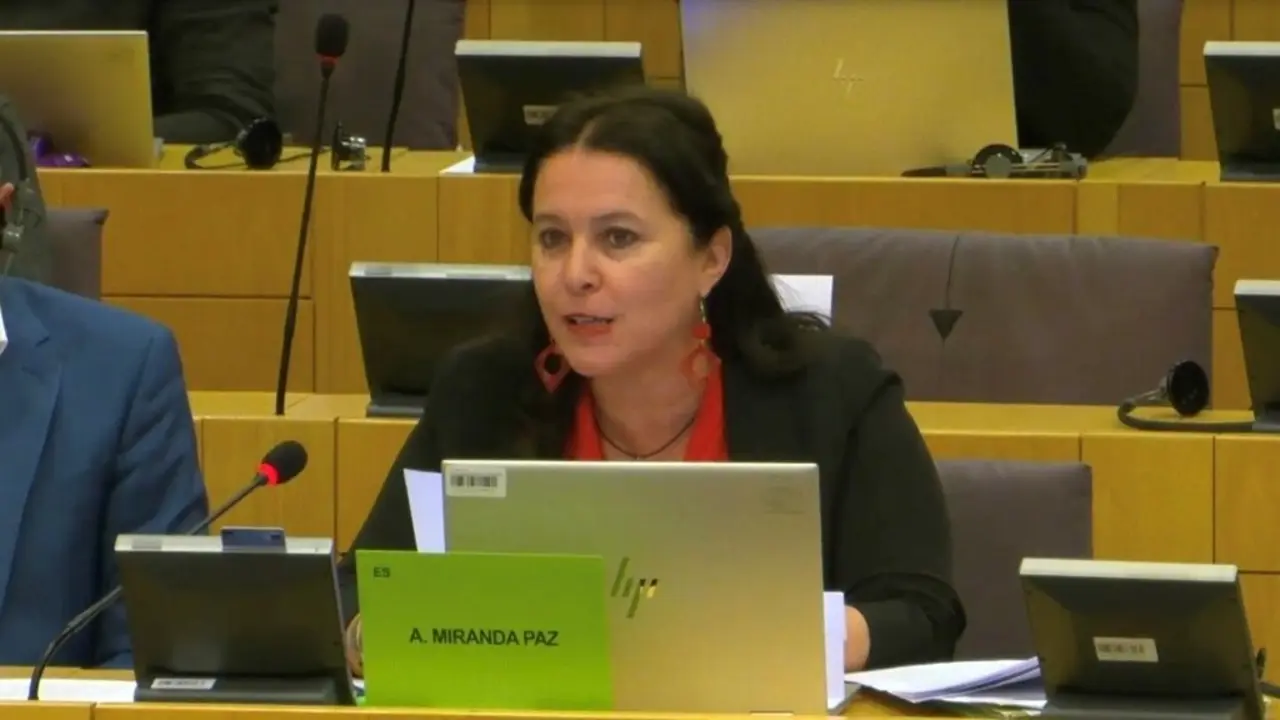 Ana Miranda, eurodeputada do BNG, esta quinta feira no Parlamento europeo. (Foto: N&oacute;s Diario)