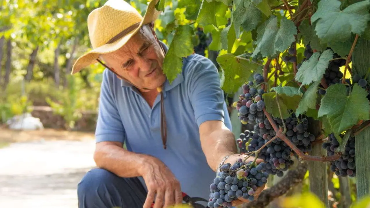 'Munear', na comarca de Berganti&ntilde;os, significa traballar, facer algo. (Foto: Carballo)