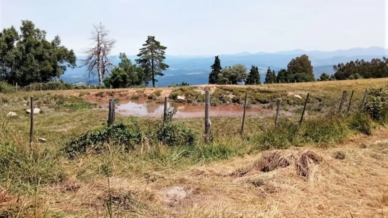 Zona afectada polo parque e&oacute;lico Chao do Marco nos Ancares. (Foto: Adega).