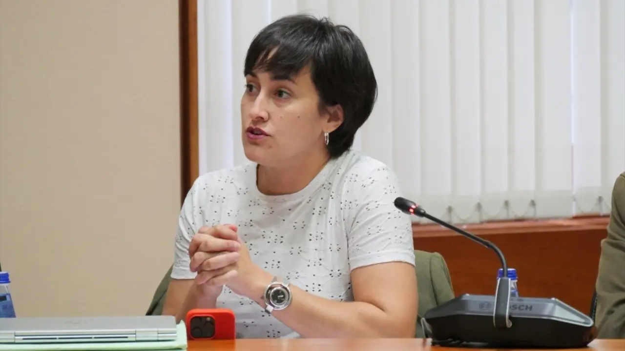 A deputada e respons&aacute;bel de Infancia do BNG, Ariadna Fern&aacute;ndez. (Foto: BNG)