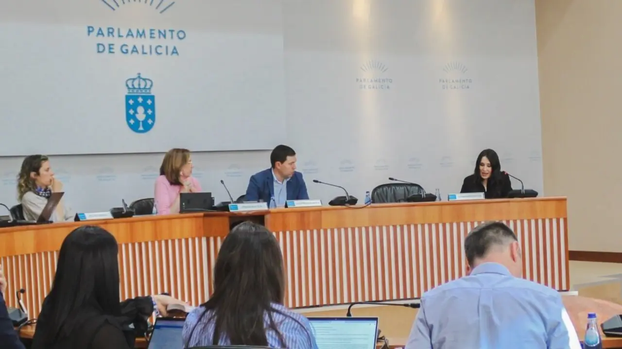 Concepci&oacute;n Pombo, primeira pola dereita, na s&uacute;a intervenci&oacute;n na comisi&oacute;n parlamentaria da CRTVG, o pasado 27 de maio. (Foto: Clara Xanthina)