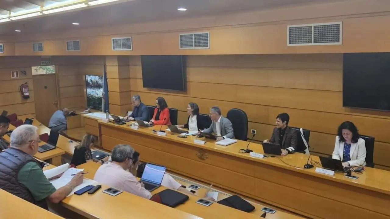 Consello de Goberno da Universidade da Coru&ntilde;a o 28 de maio. (Foto: UDC)