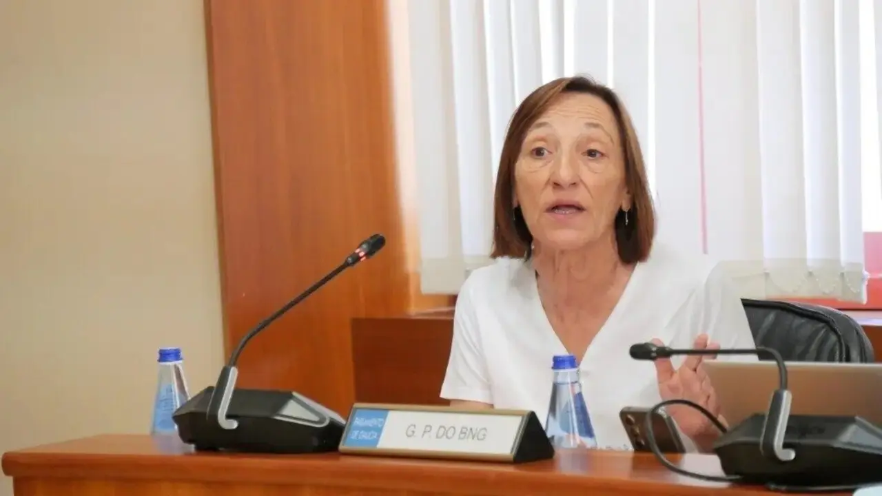 A deputada do BNG Rosana P&eacute;rez. (Foto: N&oacute;s Diario)