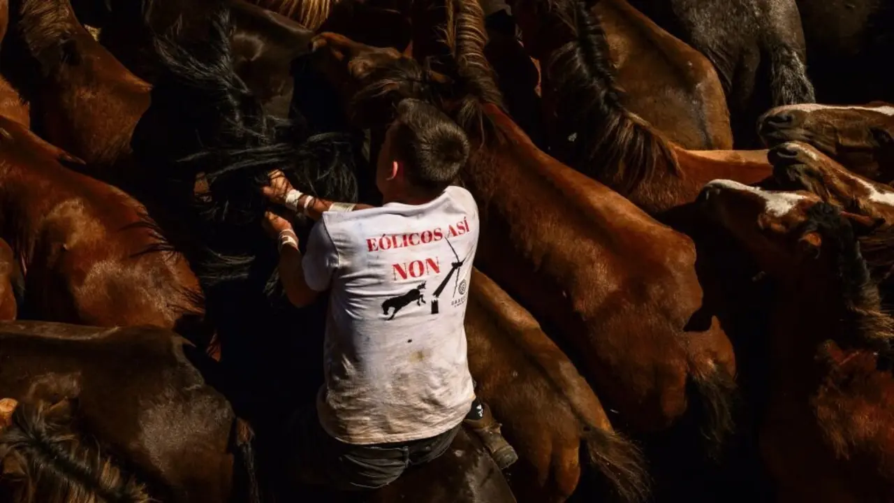 Un aloitador cunha camiseta en contra da instalaci&oacute;n de e&oacute;licos durante a Rapa das bestas 
de Sabucedo, A Estrada (Tabeir&oacute;s-Terra de Montes). (Foto: Brais Lorenzo)