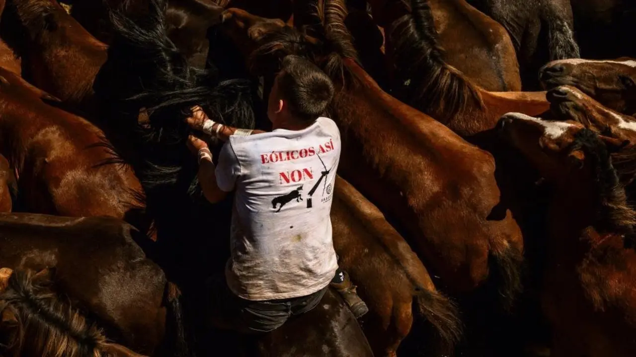 Un aloitador cunha camiseta en contra da instalaci&oacute;n de e&oacute;licos durante a Rapa das bestas 
de Sabucedo, A Estrada (Tabeir&oacute;s-Terra de Montes). (Foto: Brais Lorenzo)