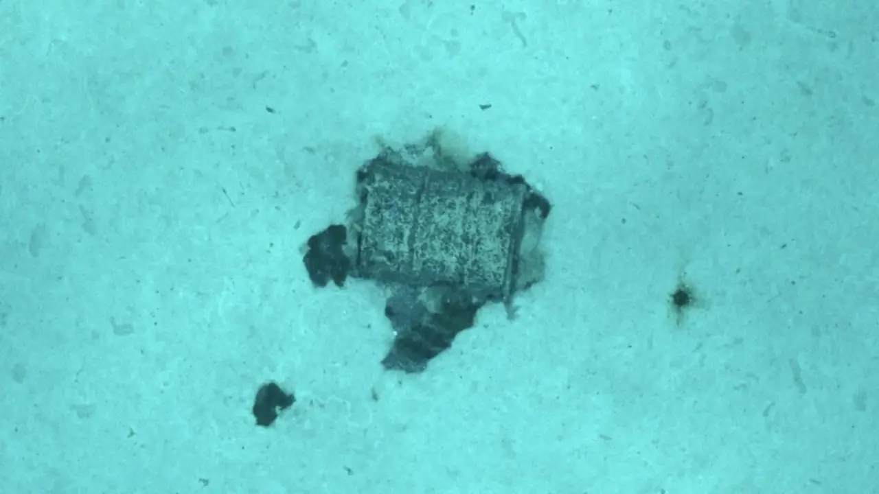 Un dos barr&iacute;s atopados. (Foto: Frota Oceanogr&aacute;fica Francesa - Campa&ntilde;a NODSSUM (J. Escart&iacute;n))