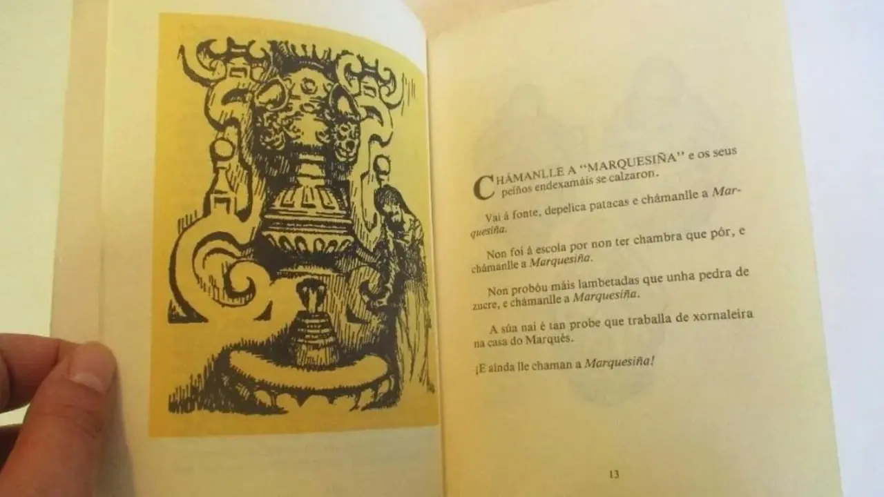 "Escoitei os contos do que eras, do que fixeches, do que sufriches, en Cousas". (Foto: N&oacute;s Diario)