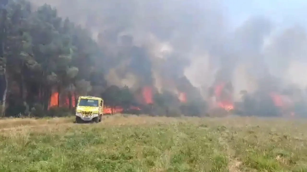 Incendio no municipio de Lal&iacute;n. (Foto: Bombeiros Forestais)