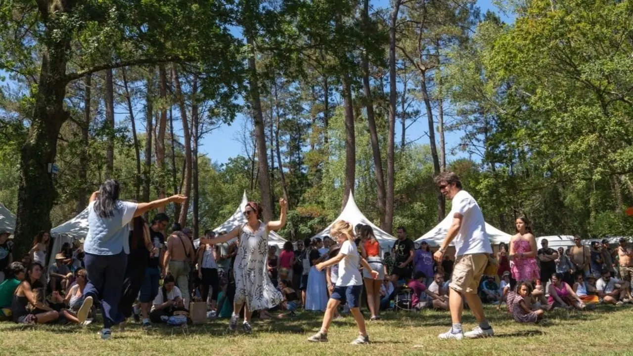 O Festival de Pardi&ntilde;as, na edici&oacute;n do pasado ano. (Foto: Mostra de Instrumentos de M&uacute;sica Tradicional)