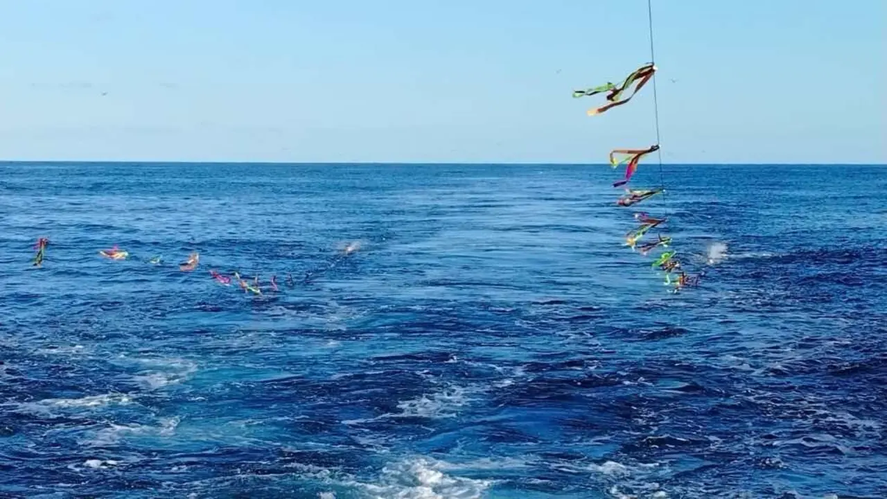 Decid&iacute;n subir &aacute; planta alta para tratar de relaxarme vendo o mar. (Foto: SEO - Birdlife)