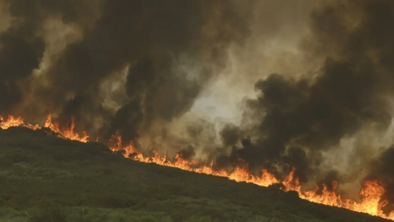 Incendio en Cualedro o pasado 15 de agosto. (Foto: Rosa Veiga /  Europa Press)