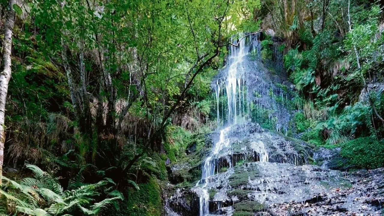 Fervenza de Santalla en Samos (Sarria). (Foto: Turismo da Galiza)