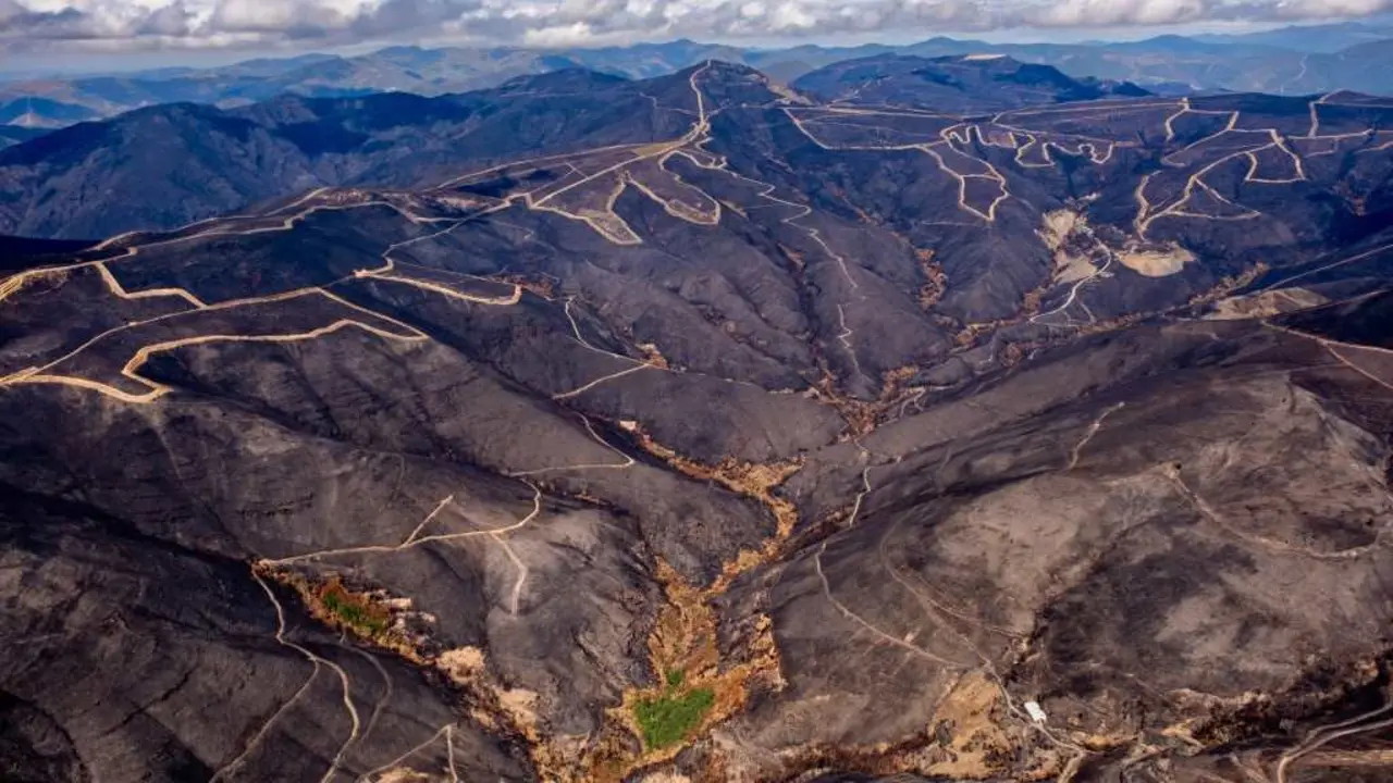 Pico Montouto, Serra dos cabalos. Incendio de Larouco, parroquia de Seadur. (Foto: Pedro Armestre / Greenpeace)