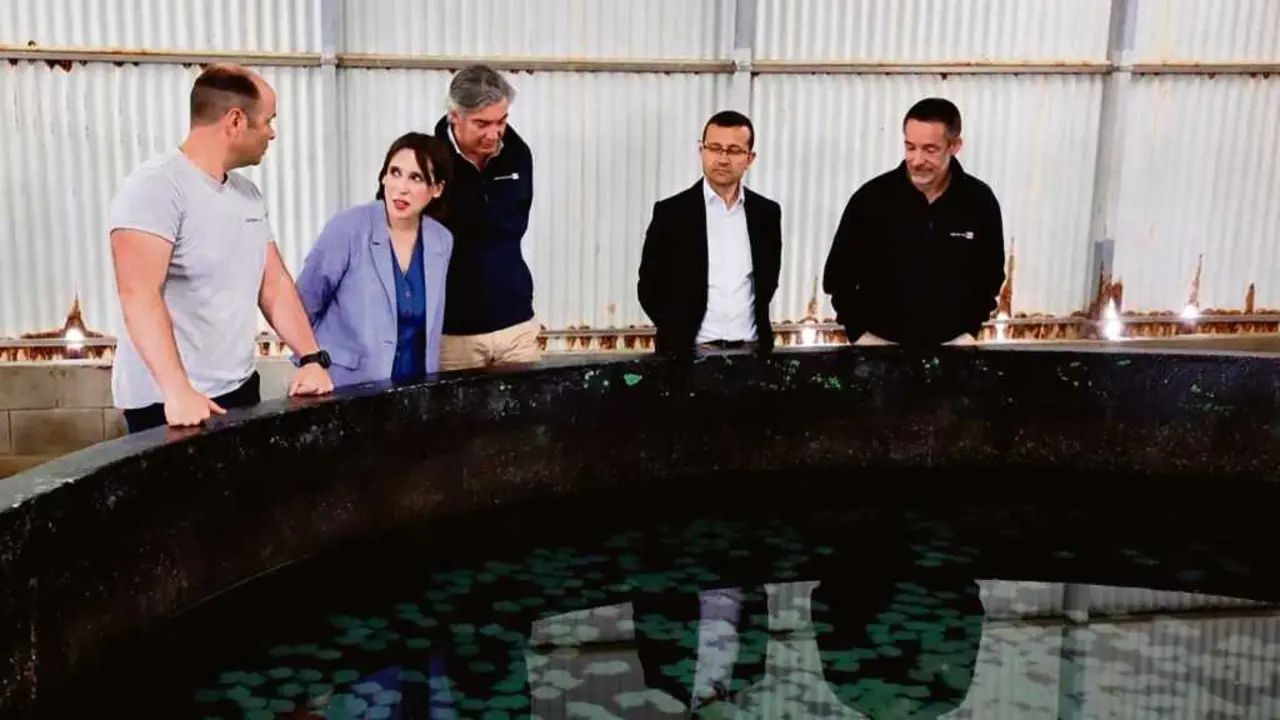 Mar&iacute;a Jes&uacute;s Lourenz&aacute;, conselleira de Econom&iacute;a, durante unha visita &aacute; planta da norueguesa Stolt Sea Farm en Carnota en maio. (Foto: Xunta da Galiza)