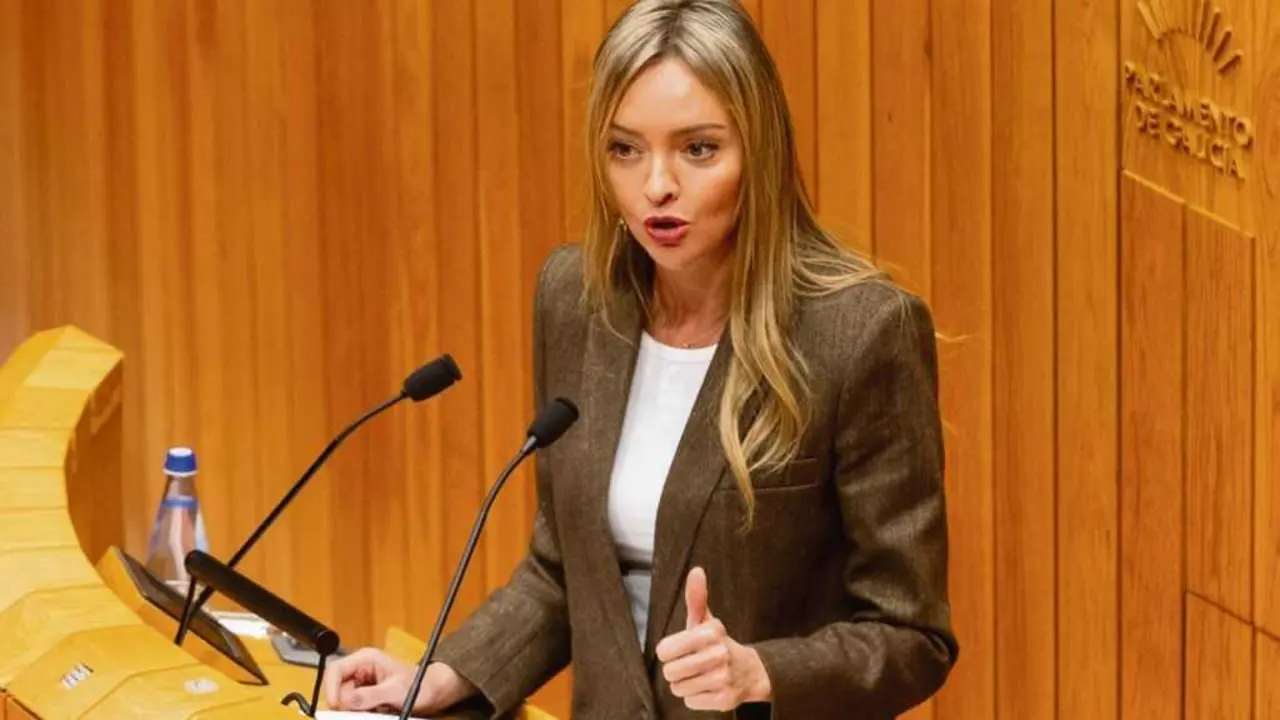 A conselleira de Pol&iacute;tica Social, Fabiola Garc&iacute;a, este 15 de outubro, no pleno do Parlamento da Galiza. (Foto: Europa Press)