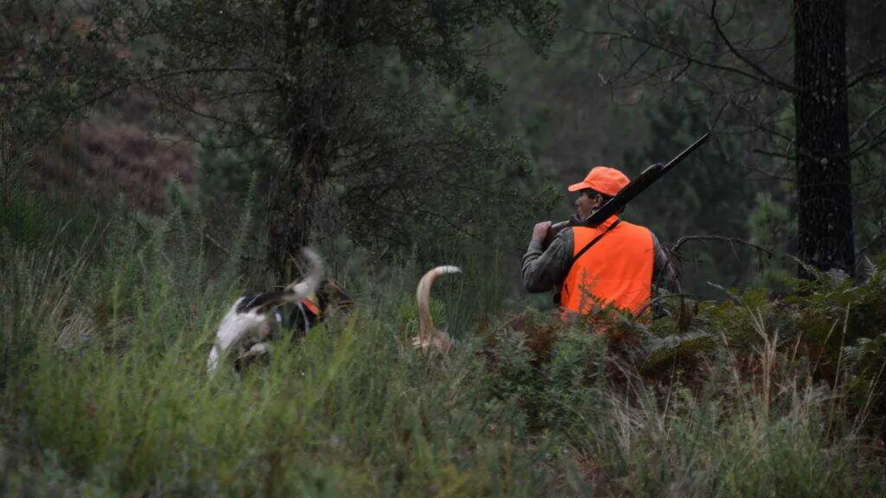 EuropaPress_6271754_hombre_caza_montes_cameixa_12_octubre_2024_boboras_orense_galicia_espana