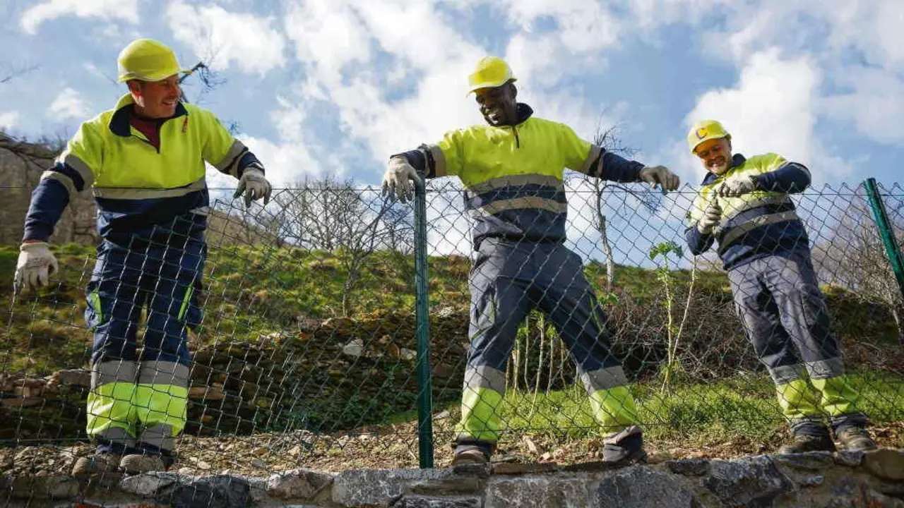 Traballadores nativos e migrantes nunha xornada laboral nos Ancares o pasado febreiro. (Foto: Carlos Castro / Europa Press)