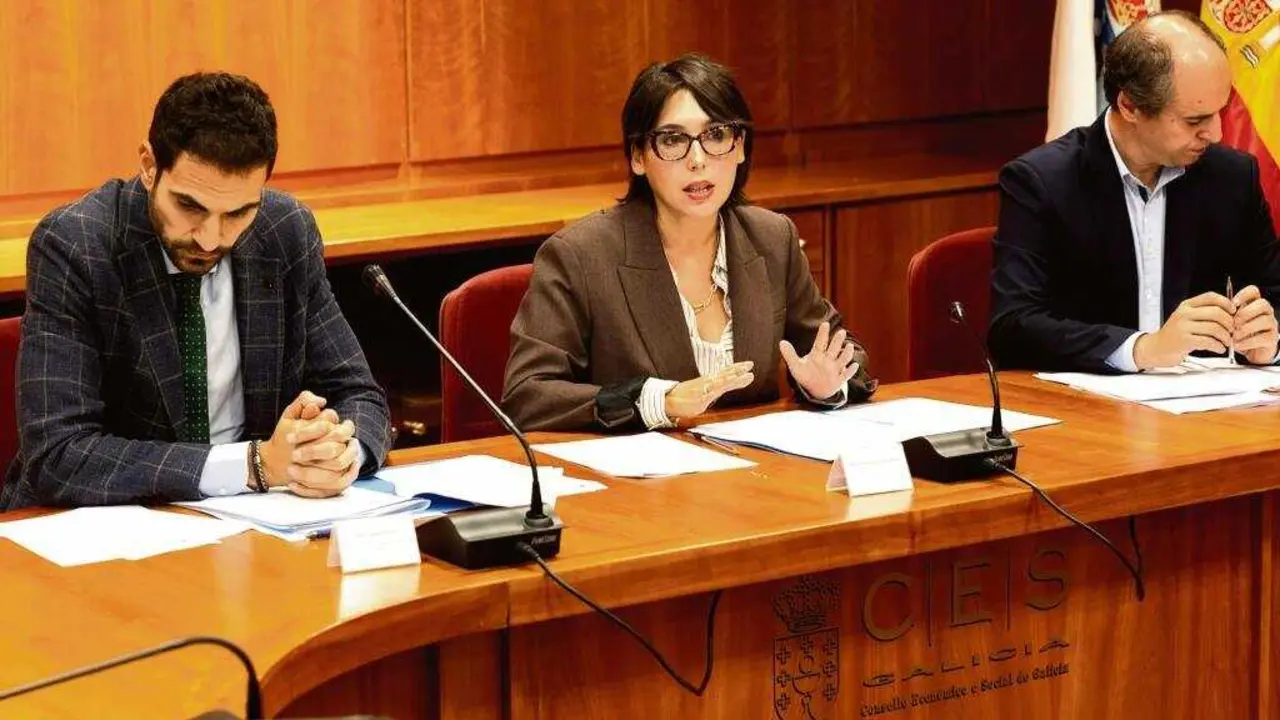 Mar&iacute;a Jes&uacute;s Lourenz&aacute;, conselleira de Econom&iacute;a e Industria. (Foto: Xunta da Galiza)
