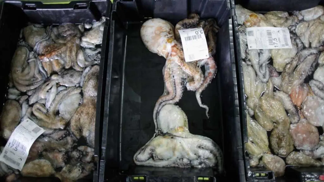Caixas de polbo na lonxa de Burela (A Mari&ntilde;a). (Foto: Carlos Castro / Europa Press)