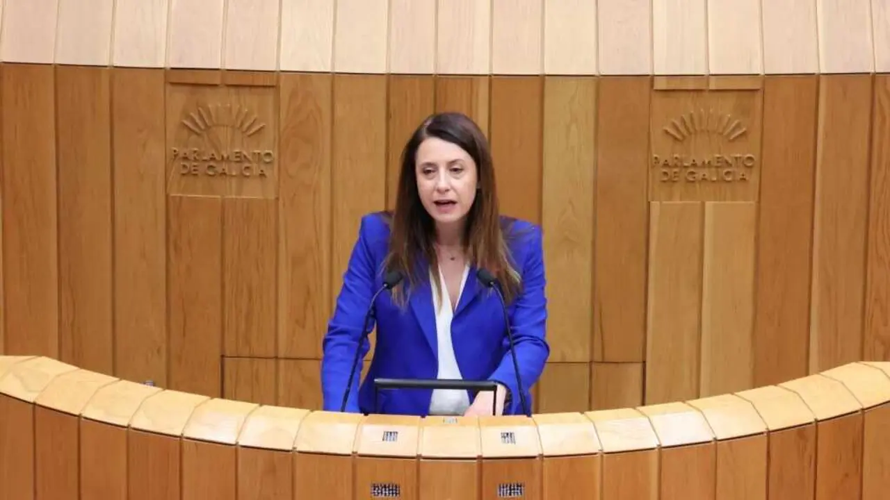 A conselleira do Medio Rural, Mar&iacute;a Jos&eacute; G&oacute;mez, este 4 de novembro. (Foto: Parlamento da Galiza)