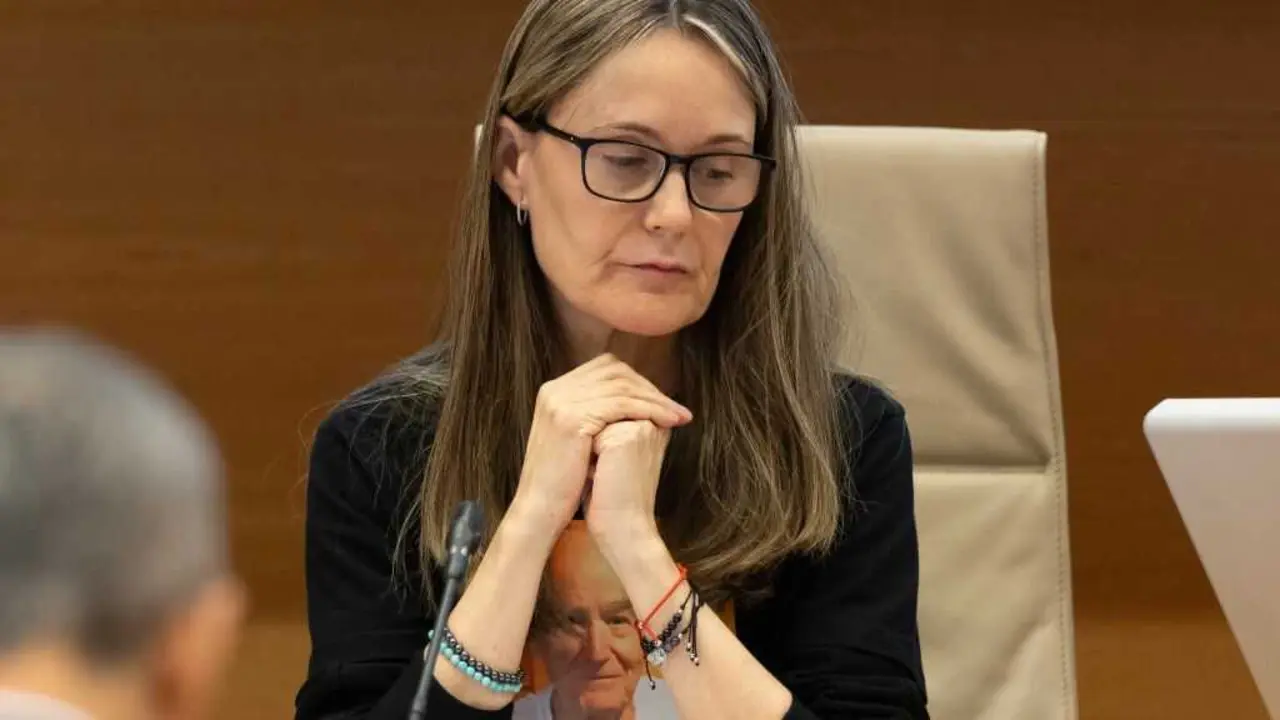 A presidenta da Associaci&oacute; V&iacute;ctimes Mortals, Rosa Mar&iacute;a &Aacute;lvarez, durante a comparecencia no Congreso o 4 de novembro. (Foto: Alejandro Mart&iacute;nez V&eacute;lez / Europa Press)