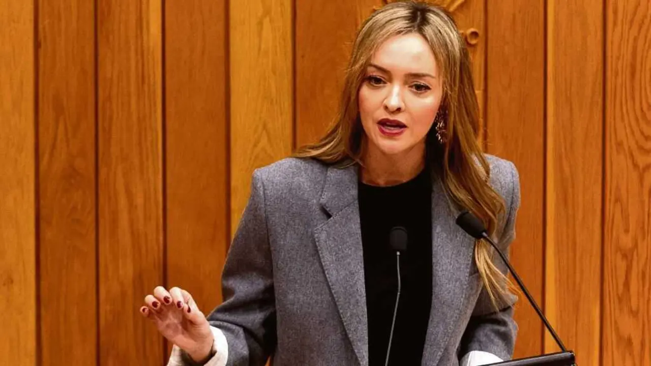 Fabiola Garc&iacute;a compareceu esta terza feira no Parlamento da Galiza. (Foto: Europa Press)