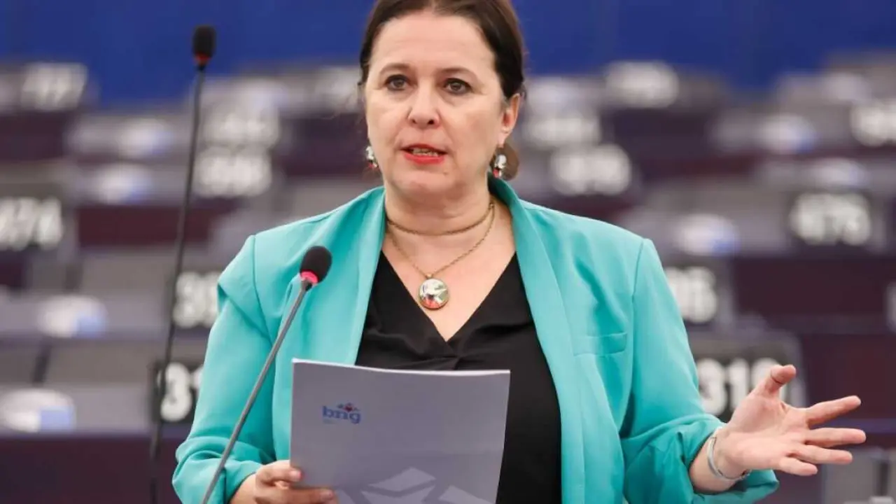 A eurodeputada do BNG, Ana Miranda. (Foto: N&oacute;s Diario)