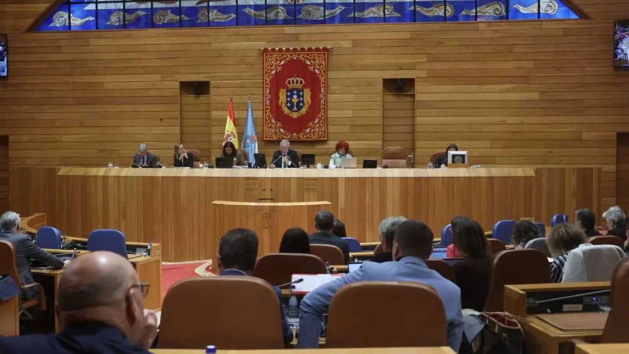 Sesi&oacute;n do Parlamento galego, esta terza feira. (Foto: Parlamento da Galiza)