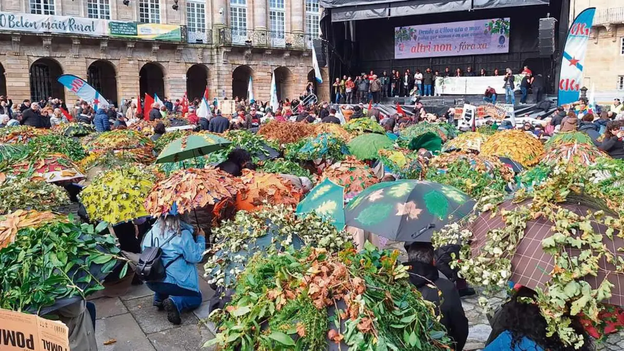 Na manifestaci&oacute;n contra Altri do 14 de decembro simulouse cos paraugas un bosque na Praza do Obradoiro. (Foto: Anxo Rinc&oacute;n)