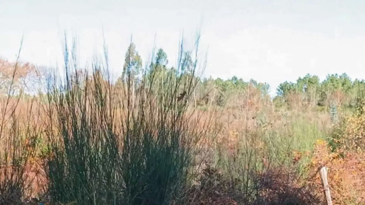 O predio de Eidi&aacute;n (Agolada, O Deza) estar&iacute;a afectado por unha das plantas de biog&aacute;s. (Foto: N&oacute;s Diario)