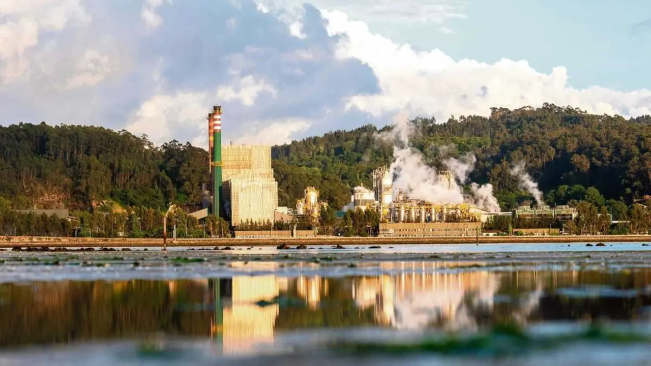Factor&iacute;a de Ence na r&iacute;a de Pontevedra. (Foto: Azulblue)