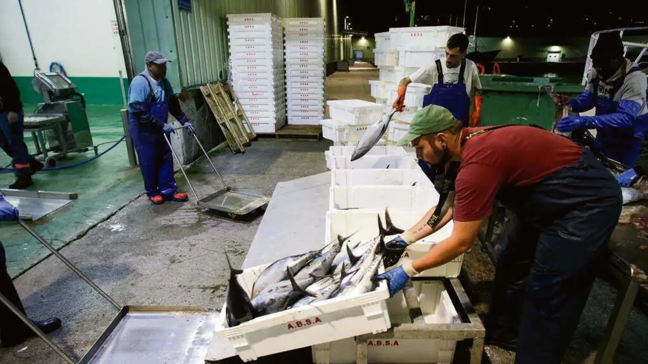 Traballadores descargando peixe no porto de Burela (A Mari&ntilde;a). (Foto: Carlos Castro / Europa Press)