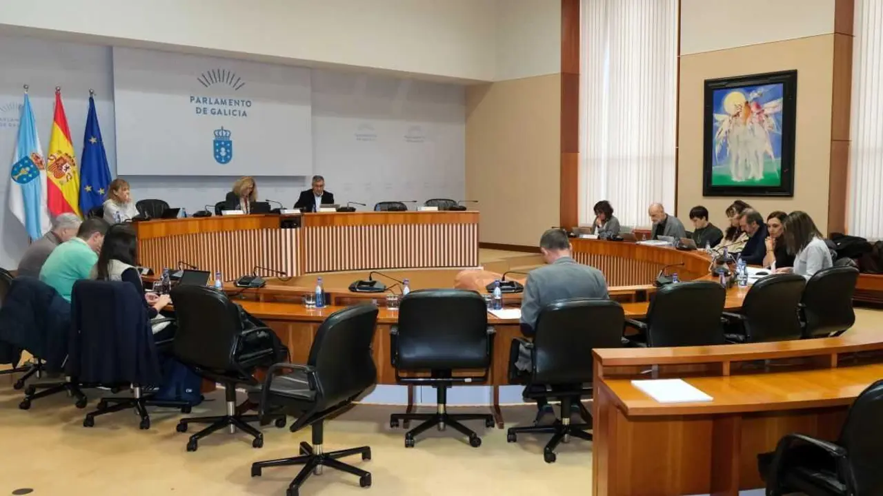 Comisi&oacute;n de Agricultura, Alimentaci&oacute;n, Gandar&iacute;a e Montes, o 16 de xaneiro de 2026. (Foto: Arxina)