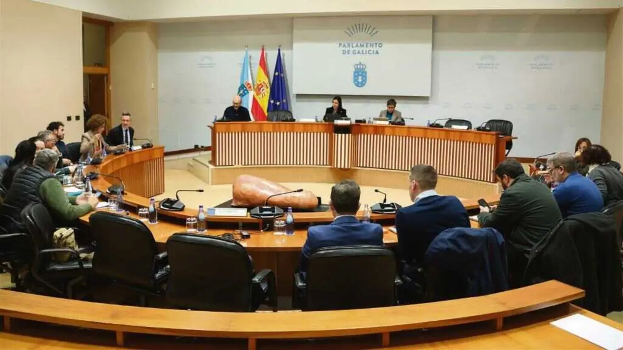 Comisi&oacute;n de Pesca, esta terza feira 20 de xaneiro. (Foto: Parlamento da Galiza)