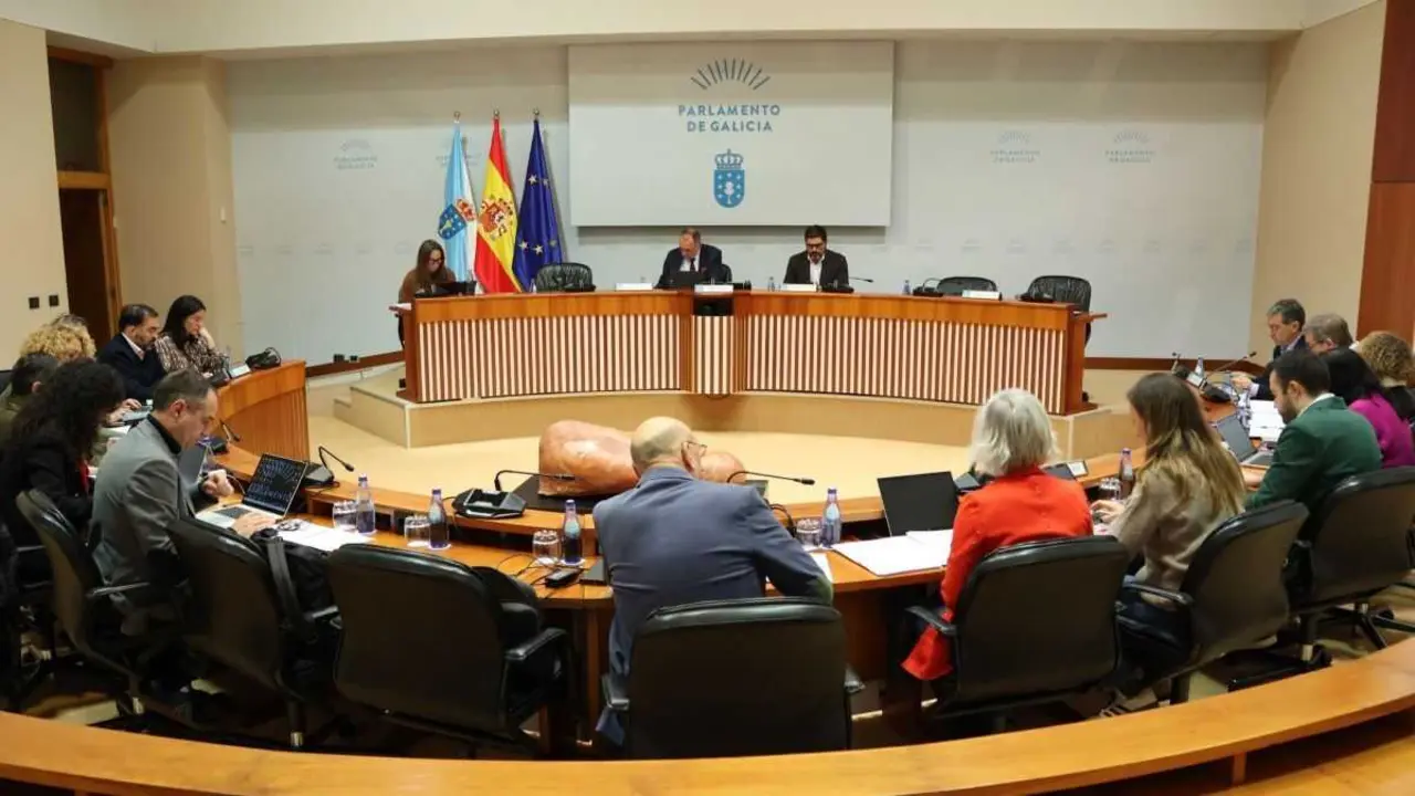 Comisi&oacute;n 1&ordf;, Institucional, de Administraci&oacute;n Xeral, Xustiza e Interior, o 21 de xaneiro de 2026 no Parlamento galego. (Foto: Parlamento da Galiza)