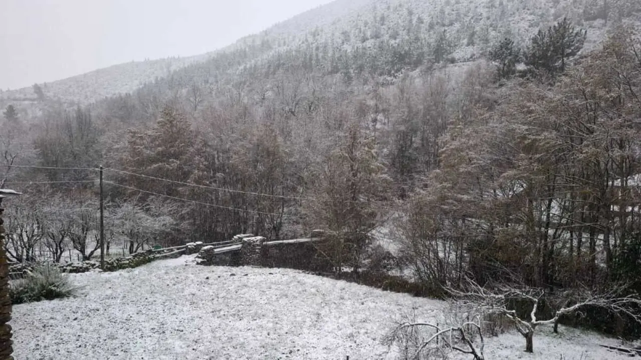 Nevarada en Barxa, A Gudi&ntilde;a (Viana), este 23 de xaneiro. (Foto: Xos&eacute; Carlos Solla)