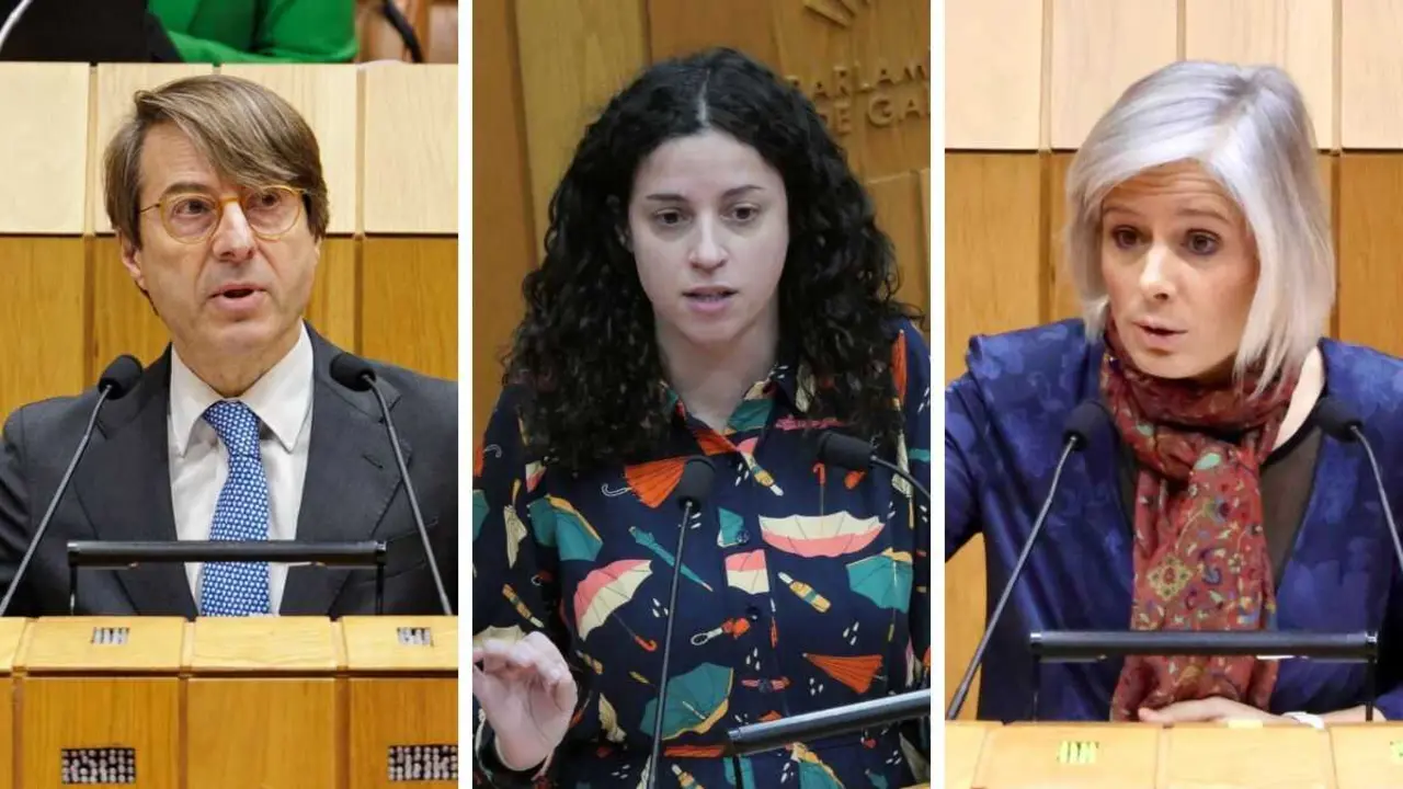 Miguel Corgos, Noa Presas e Patricia igrexas, este 27 de xaneiro no Parlamento galego. (Foto: Xunta da Galiza - N&oacute;s Diario)