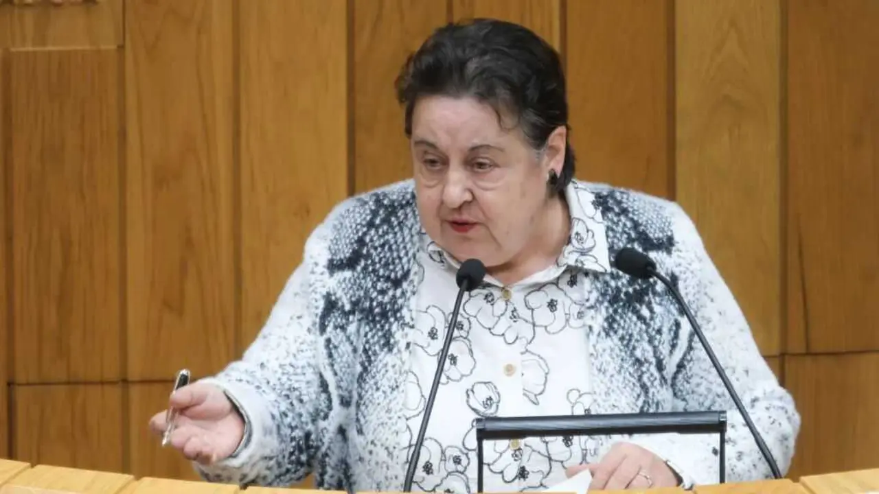Mar&iacute;a Pilar Garc&iacute;a Negro defendendo a ILP esta terza feira desde a tribuna do Parlamento da Galiza. (Foto: Arxina)