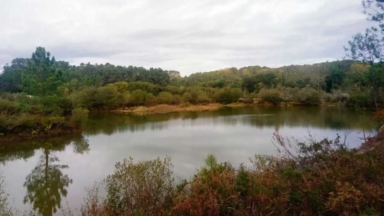 As G&aacute;ndaras de Budi&ntilde;o son un claro exemplo da degradaci&oacute;n que sufriron as zonas h&uacute;midas da Galiza. (Foto: N&oacute;s Diario)