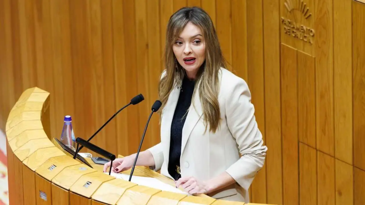 A conselleira de Pol&iacute;tica Social, Fabiola Garc&iacute;a, no pleno do pasado 11 de febreiro. (Foto: David Cabez&oacute;n / Xunta da Galiza)