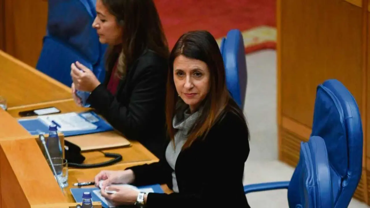 A conselleira do Medio Rural, Mar&iacute;a Jos&eacute; G&oacute;mez, no Parlamento da Galiza. (Foto: Xunta da Galiza)