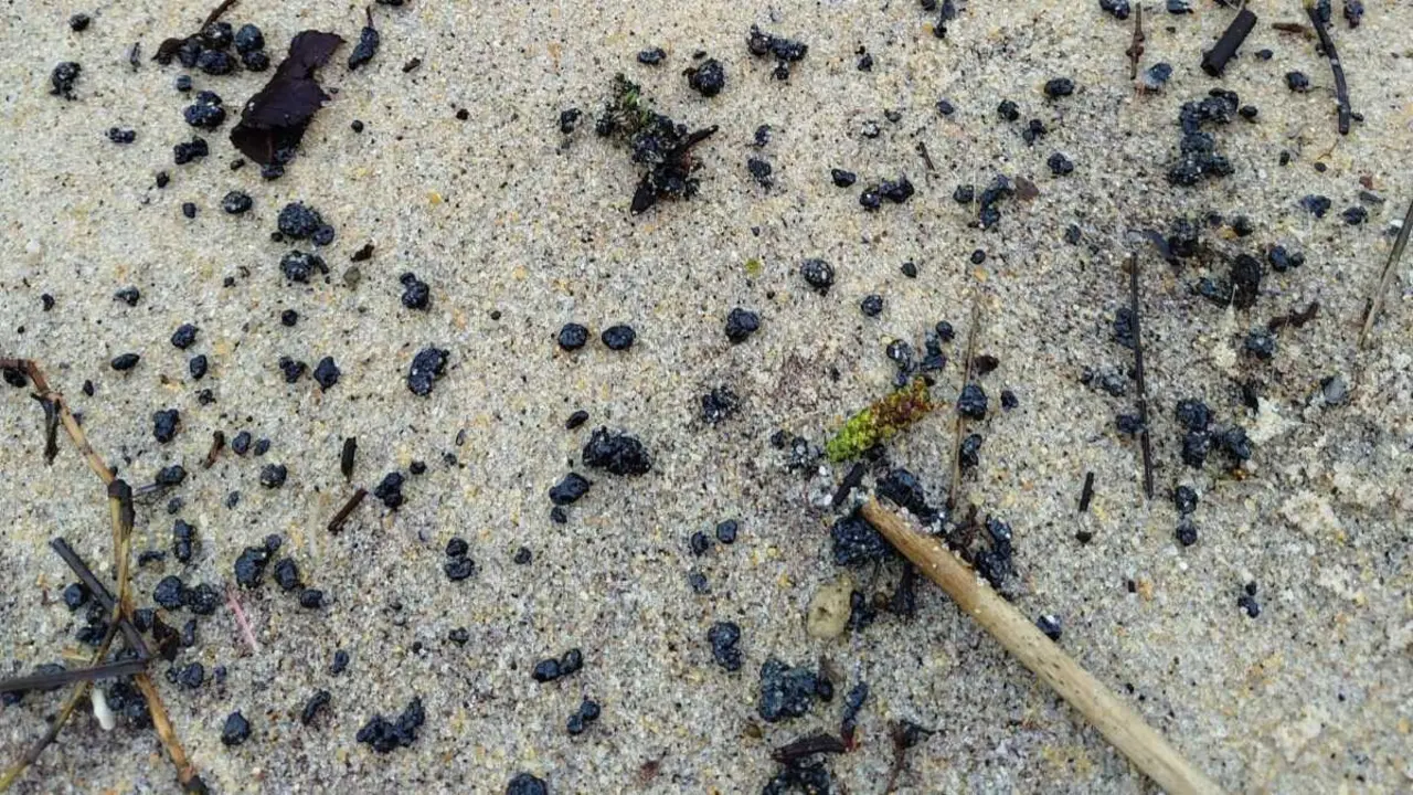 Bolas de chapapote na praia de Queirugas. (Foto: N&oacute;s Diario)