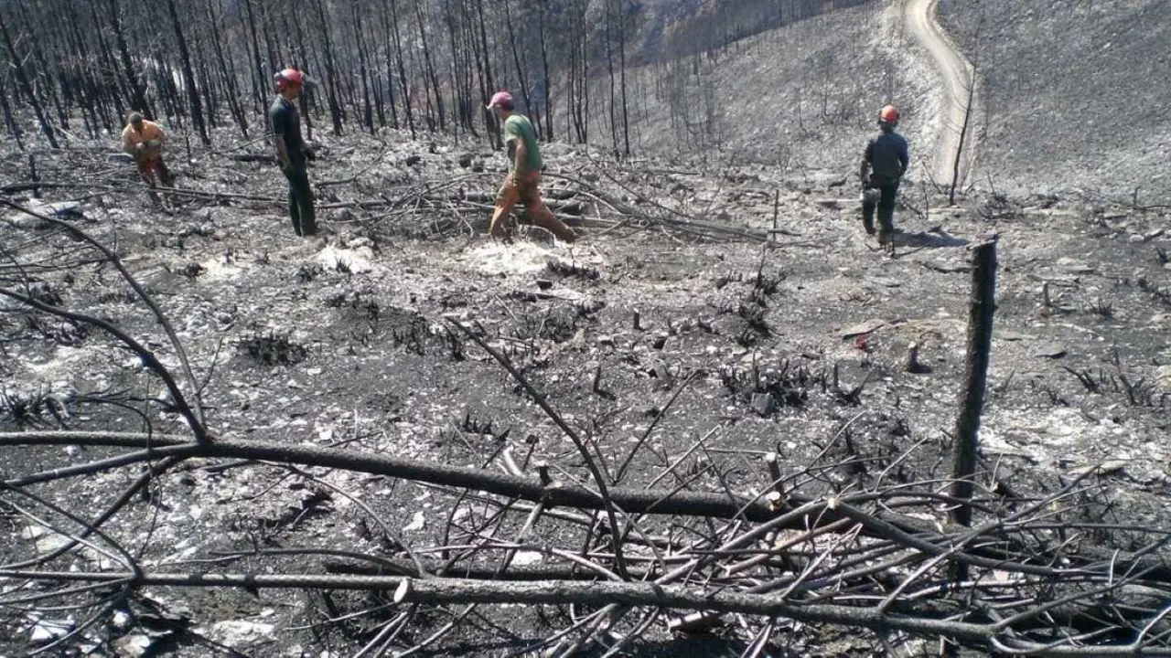 Voluntariado nunha zona queimada nover&aacute;n de 2025 polos incendios. (Foto: N&oacute;s Diario)