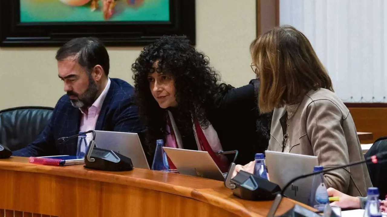 A deputada do Partido Popular Katherinie Varela (no medio) na Comisi&oacute;n, esta cuarta feira. (Foto: Arxina)