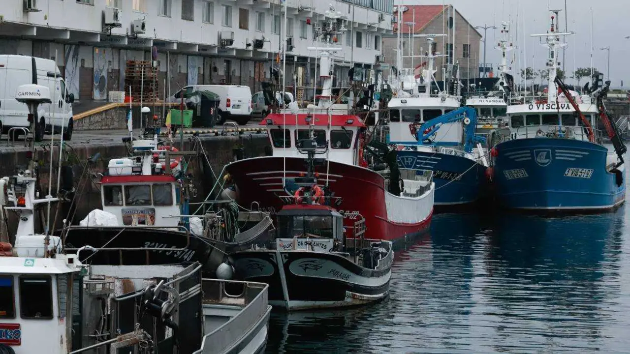 Porto de Vigo durante o paro da frota pesqueira de baixura o 19 de xaneiro de 2026, en Vigo (Foto: Adri&aacute;n Irago / Europa Press)