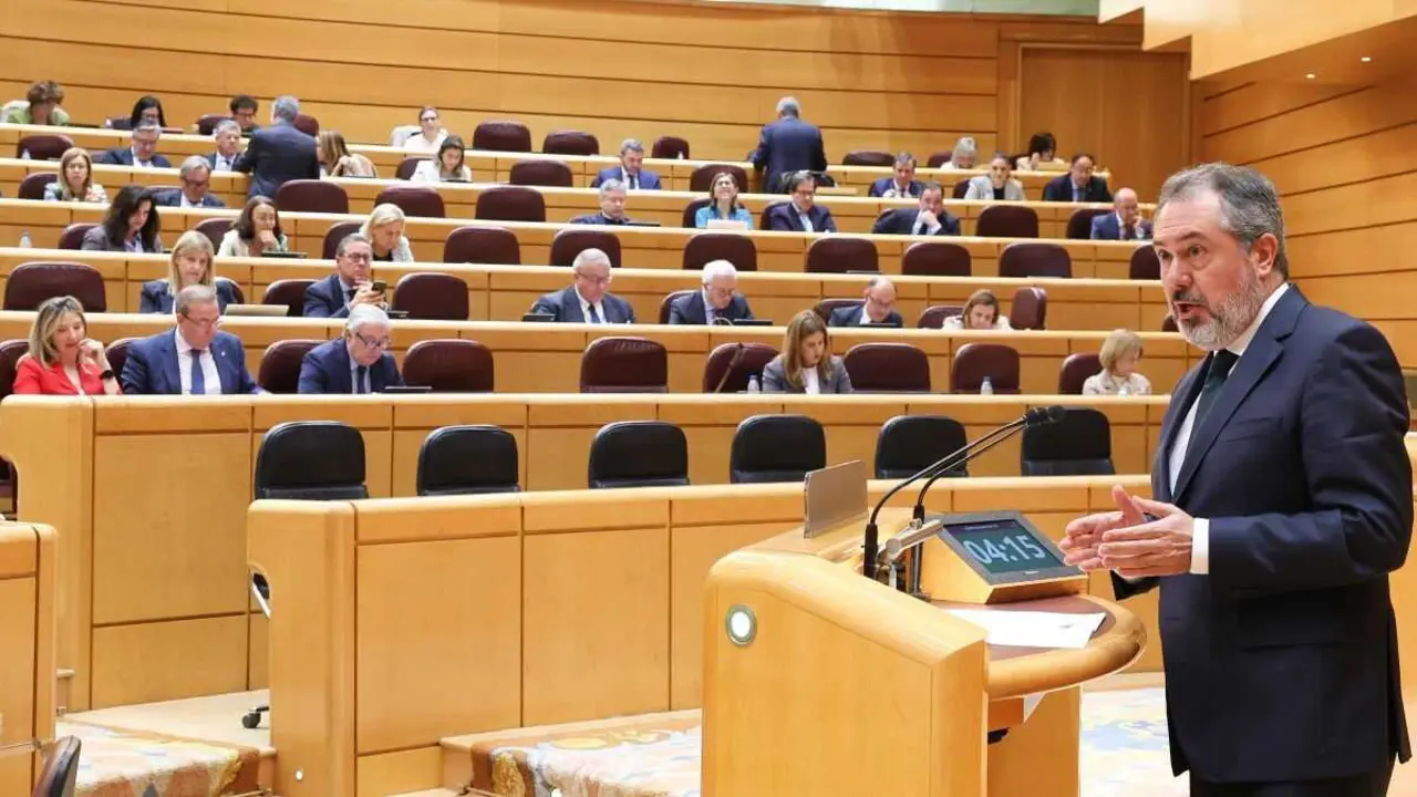 O portavoz do PSOE no Senado, Juan Espadas. (Foto: Marta Fern&aacute;ndez / Europa Press)